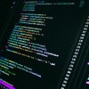 pexels-myburgh-4816921.jpg